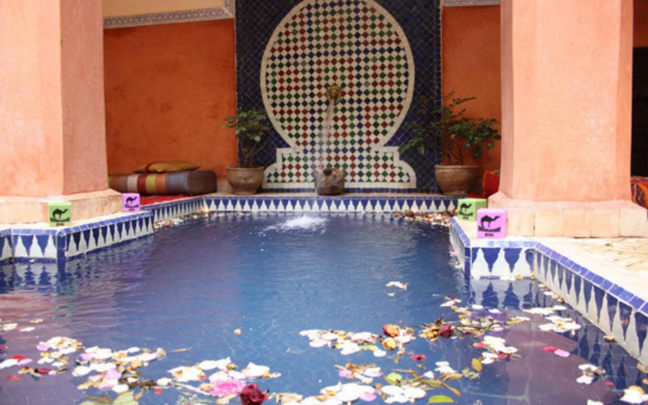 Le Dromadaire Bleu By Weekome Bed & Breakfast *